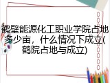 鹤壁能源化工职业学院占地多少亩，什么情况下成立(鹤院占地与成立)