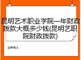 昆明艺术职业学院一年财政拨款大概多少钱(昆明艺职院财政拨款)