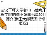 武汉工程大学邮电与信息工程学院的图书馆藏书量如何，简介(武工大邮院图书馆概况)