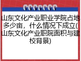山东文化产业职业学院占地多少亩，什么情况下成立(山东文化产业职院面积与建校背景)
