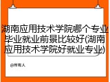 湖南应用技术学院哪个专业毕业就业前景比较好(湖南应用技术学院好就业专业)