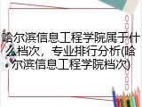 哈尔滨信息工程学院属于什么档次，专业排行分析(哈尔滨信息工程学院档次)