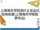 上海海关学院读什么专业比较有前景(上海海关学院前景专业)