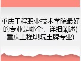 重庆工程职业技术学院最好的专业是哪个，详细阐述(重庆工程职院王牌专业)