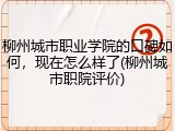 柳州城市职业学院的口碑如何，现在怎么样了(柳州城市职院评价)
