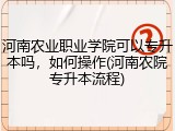 河南农业职业学院可以专升本吗，如何操作(河南农院专升本流程)