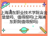 上海浦东职业技术学院含金量量吗，值得报吗(上海浦东职院值得报吗)