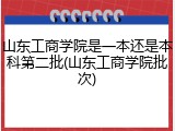 山东工商学院是一本还是本科第二批(山东工商学院批次)