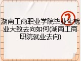 湖南工商职业学院毕业生就业大致去向如何(湖南工商职院就业去向)