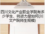 四川文化产业职业学院有多少学生，师资力量如何(川文产院师生规模)