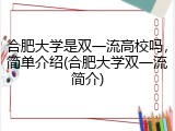 合肥大学是双一流高校吗，简单介绍(合肥大学双一流简介)