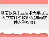 湖南软件职业技术大学办理入学有什么攻略没(湖南软件入学攻略)