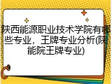 陕西能源职业技术学院有哪些专业，王牌专业分析(陕能院王牌专业)