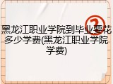 黑龙江职业学院到毕业要花多少学费(黑龙江职业学院学费)