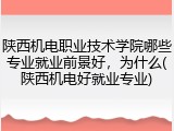 陕西机电职业技术学院哪些专业就业前景好，为什么(陕西机电好就业专业)