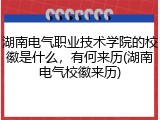 湖南电气职业技术学院的校徽是什么，有何来历(湖南电气校徽来历)