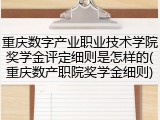 重庆数字产业职业技术学院奖学金评定细则是怎样的(重庆数产职院奖学金细则)