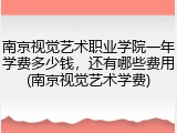 南京视觉艺术职业学院一年学费多少钱，还有哪些费用(南京视觉艺术学费)
