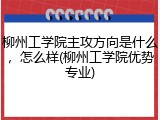 柳州工学院主攻方向是什么，怎么样(柳州工学院优势专业)