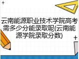 云南能源职业技术学院高考需多少分能录取呢(云南能源学院录取分数)