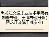 黑龙江交通职业技术学院有哪些专业，王牌专业分析(黑龙江交院王牌专业)