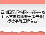 四川国际标榜职业学院主攻什么方向有哪些王牌专业(标榜学院王牌专业)