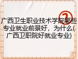 广西卫生职业技术学院哪些专业就业前景好，为什么(广西卫职院好就业专业)
