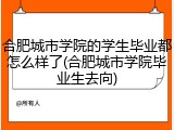 合肥城市学院的学生毕业都怎么样了(合肥城市学院毕业生去向)