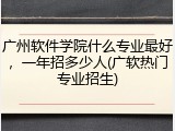广州软件学院什么专业最好，一年招多少人(广软热门专业招生)
