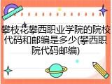 攀枝花攀西职业学院的院校代码和邮编是多少(攀西职院代码邮编)
