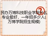 民办万博科技职业学院什么专业最好，一年招多少人(万博学院招生规模)