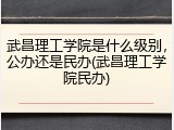 武昌理工学院是什么级别，公办还是民办(武昌理工学院民办)