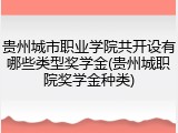 贵州城市职业学院共开设有哪些类型奖学金(贵州城职院奖学金种类)