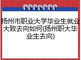 扬州市职业大学毕业生就业大致去向如何(扬州职大毕业生去向)