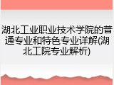 湖北工业职业技术学院的普通专业和特色专业详解(湖北工院专业解析)