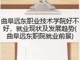 曲阜远东职业技术学院好不好，就业现状及发展趋势(曲阜远东职院就业前景)