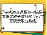 辽宁轨道交通职业学院是一本吗录取分数线多少(辽宁职院录取分数线)