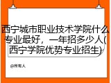 西宁城市职业技术学院什么专业最好，一年招多少人(西宁学院优势专业招生)