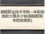 铜陵职业技术学院一年财政拨款大概多少钱(铜陵职院年财政拨款)