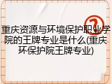 重庆资源与环境保护职业学院的王牌专业是什么(重庆环保护院王牌专业)