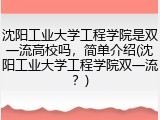 沈阳工业大学工程学院是双一流高校吗，简单介绍(沈阳工业大学工程学院双一流？)