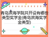 青岛滨海学院共开设有哪些类型奖学金(青岛滨海奖学金类型)