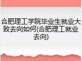 合肥理工学院毕业生就业大致去向如何(合肥理工就业去向)