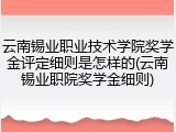 云南锡业职业技术学院奖学金评定细则是怎样的(云南锡业职院奖学金细则)
