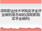 邵阳职业技术学院奖学金评定细则是怎样的(邵阳职院奖学金细则)