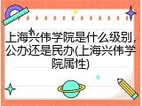 上海兴伟学院是什么级别，公办还是民办(上海兴伟学院属性)