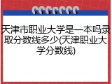 天津市职业大学是一本吗录取分数线多少(天津职业大学分数线)
