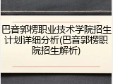 巴音郭楞职业技术学院招生计划详细分析(巴音郭楞职院招生解析)