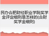 民办合肥财经职业学院奖学金评定细则是怎样的(合财奖学金细则)