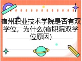 宿州职业技术学院是否有双学位，为什么(宿职院双学位原因)